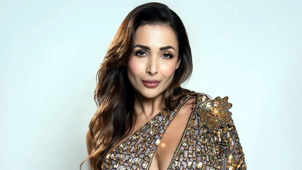 অতীত নিয়ে বেশি কথা বলতে চাই না : মালাইকা