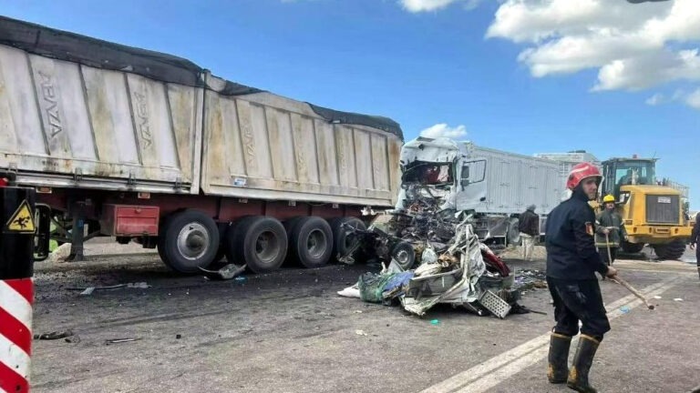 মিশরে ভয়াবহ সড়ক দুর্ঘটনায় নিহত ১৮