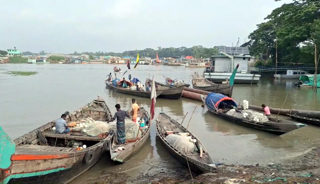 ইলিশ উৎপাদন বাড়াতে আগামী দুই মাস নদীতে মাছ ধরা নিষিদ্ধ