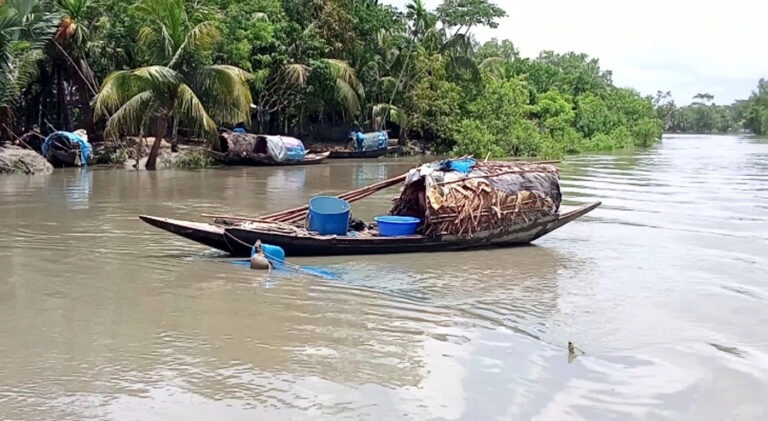 সুন্দরবনে তিন মাসের নিষেধাজ্ঞা: প্রজনন সুরক্ষায় কড়াকড়ি, সংকটে কর্মহীন বনজীবীরা