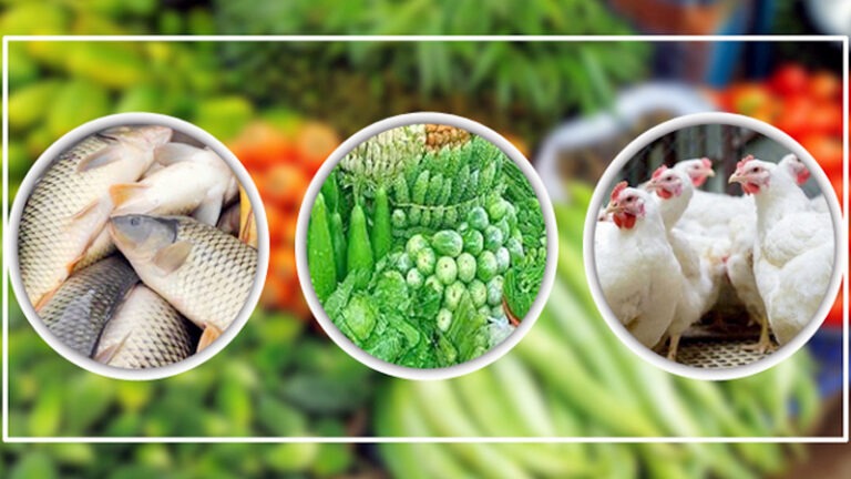 সবজির বাজারে আগুন, মাছ-মাংসেও অস্বস্তি