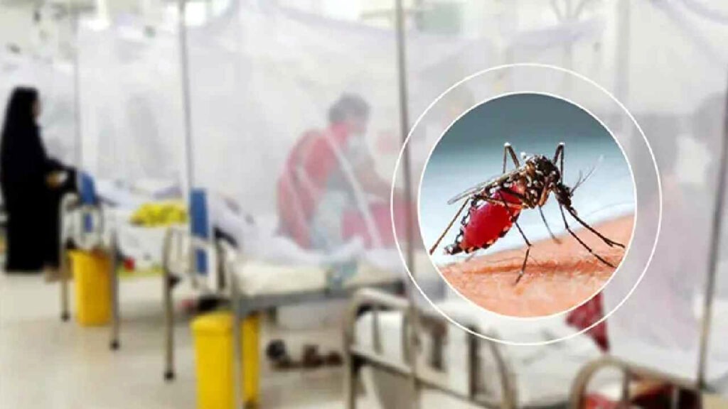 দেশে ডেঙ্গুতে আরও ৪ জনের মৃত্যু