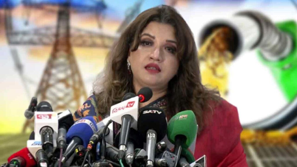 জ্বালানি সংকট মোকাবিলায় বিকল্প উৎস খুঁজছে সরকার: পররাষ্ট্র প্রতিমন্ত্রী