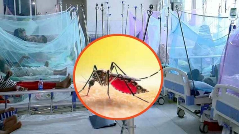 ডেঙ্গুতে একদিনে সর্বোচ্চ ১১ জনের মৃত্যু